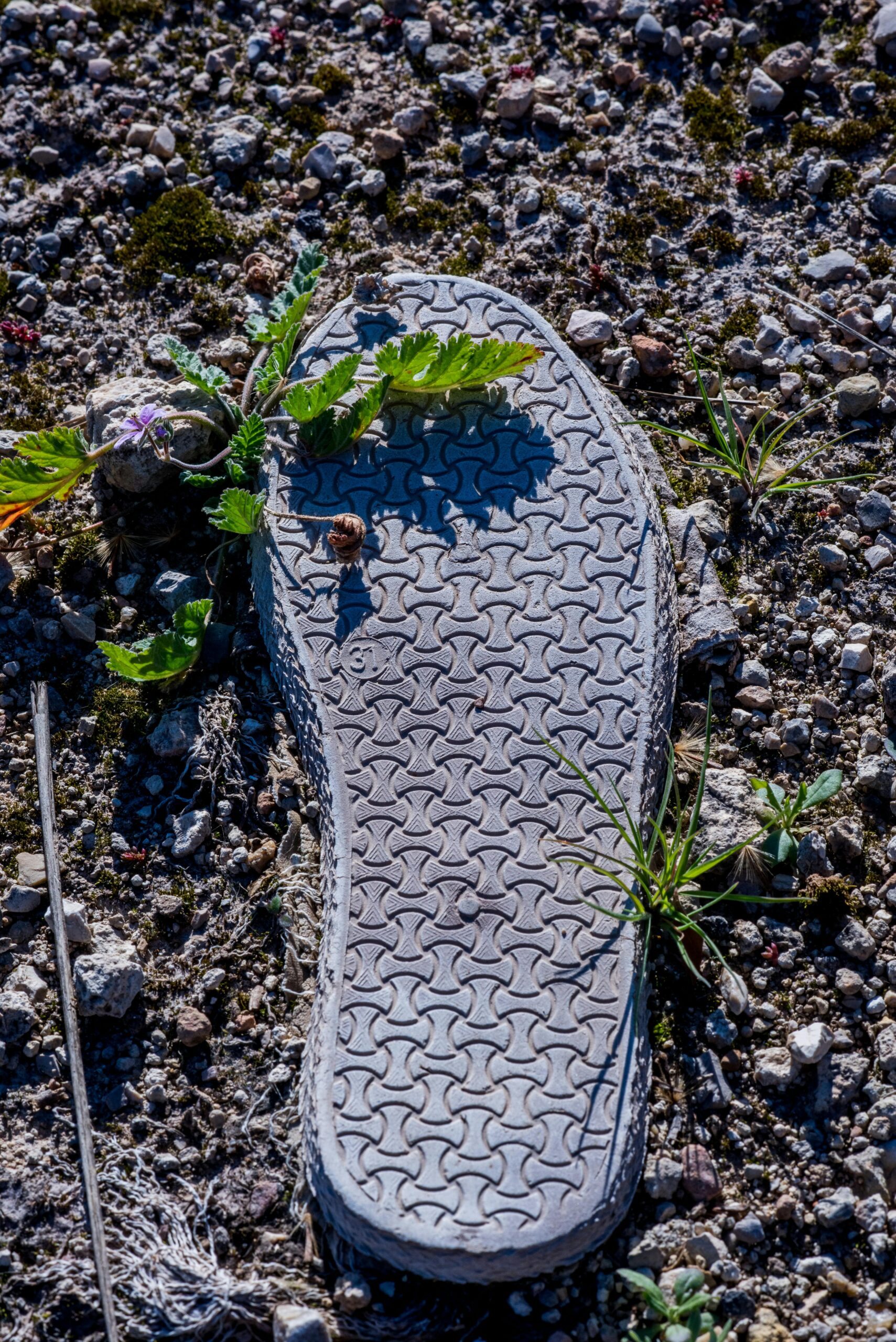 Fast fashion : Comment concilier ambition écologique et protection des entreprises françaises ?