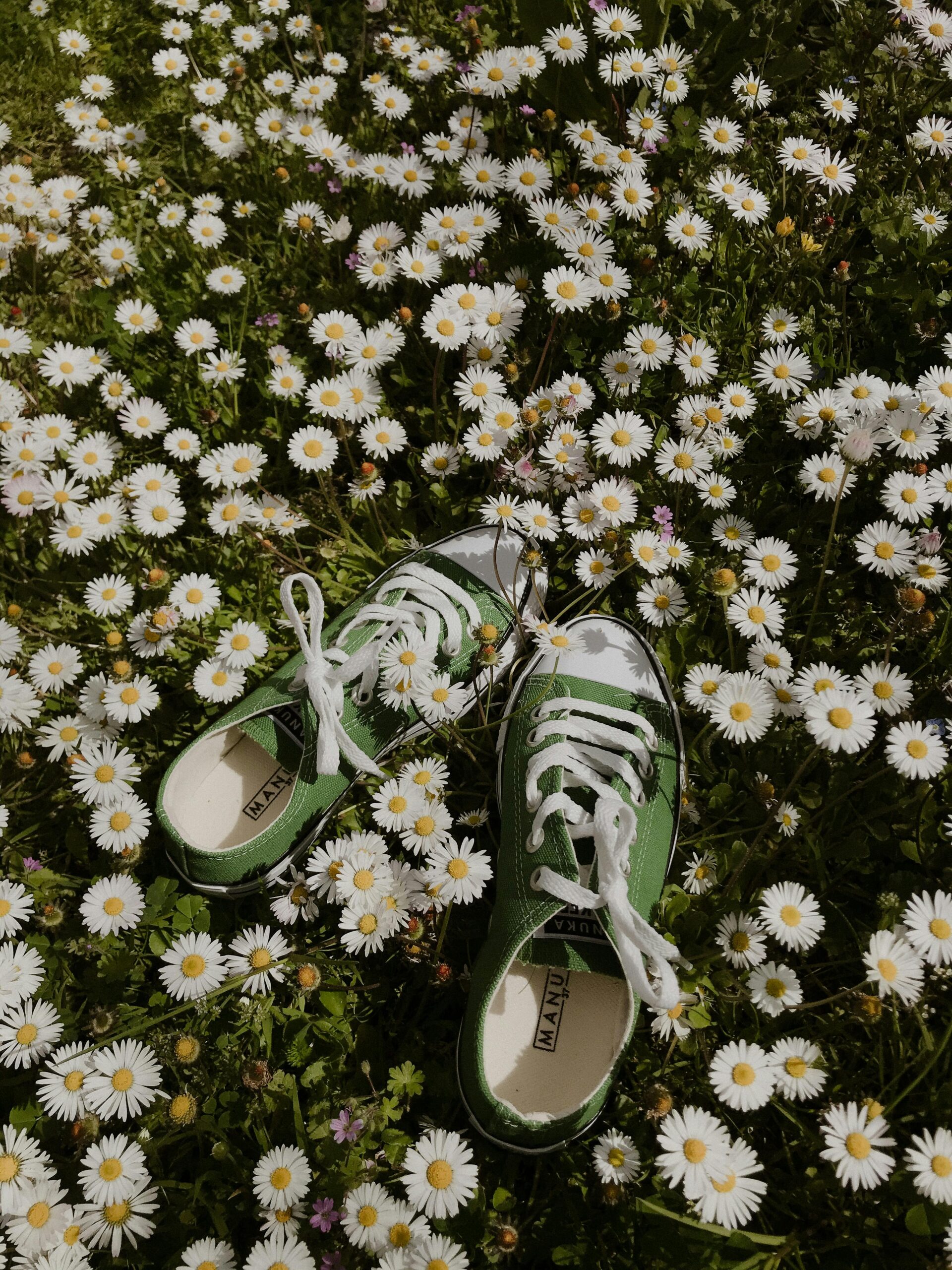 Chaussures fleur herbe vert