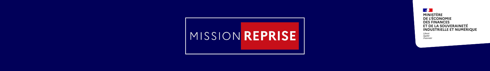 Mission Reprise : propositions des membres du groupe de travail