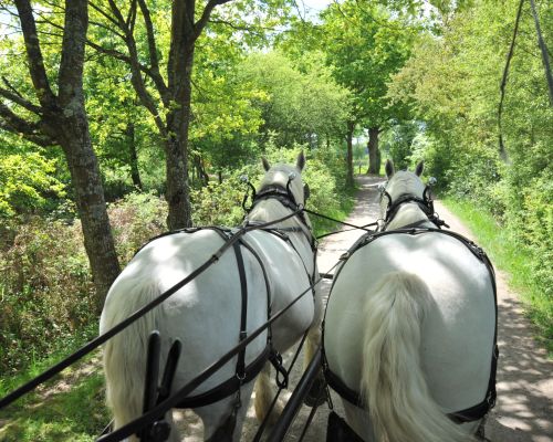 Congrès de la Cordonnerie Multiservice 2026 - Le Mans